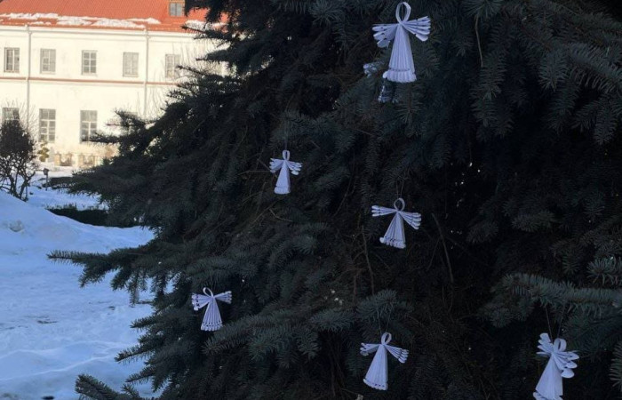 photo_2026-02-20_21-02-37